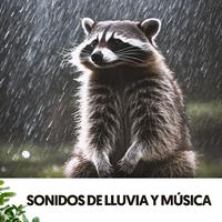 Sonidos de Lluvia y música: Symphony of Raindrops