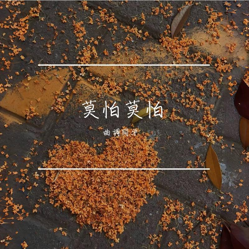 莫怕莫怕封面