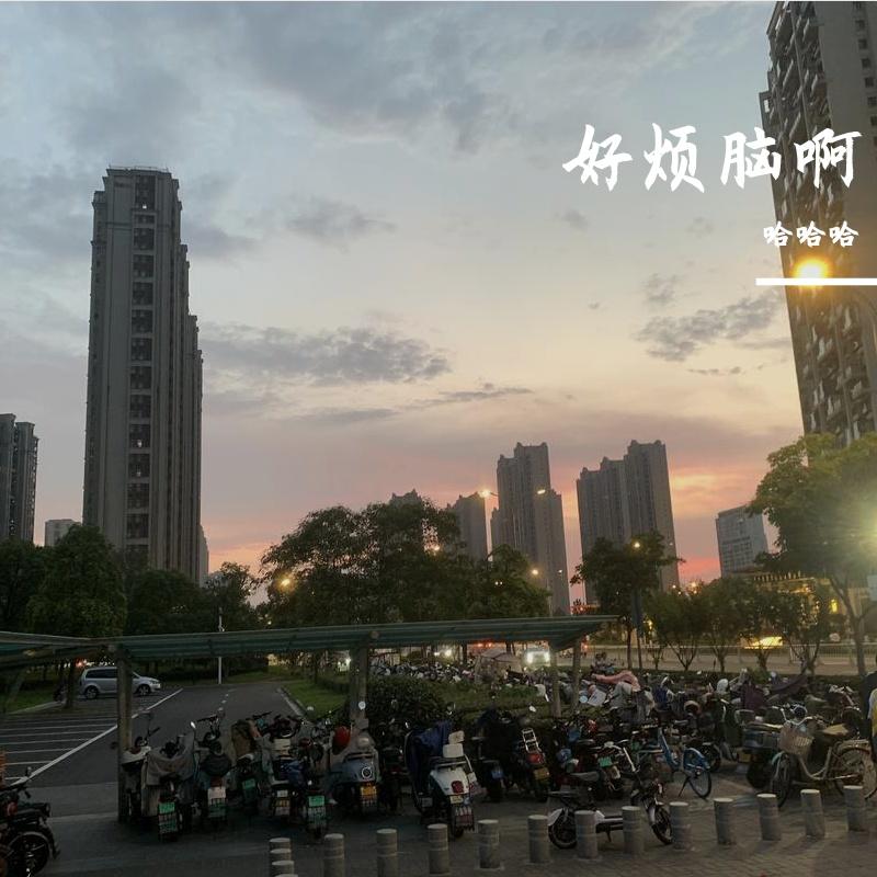 甜瓜封面