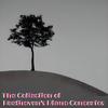 Wiener Philharmoniker - Piano Concerto No. 4 in G Major, Op. 58:II. Andante con moto