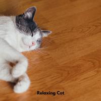 Relaxing Cat