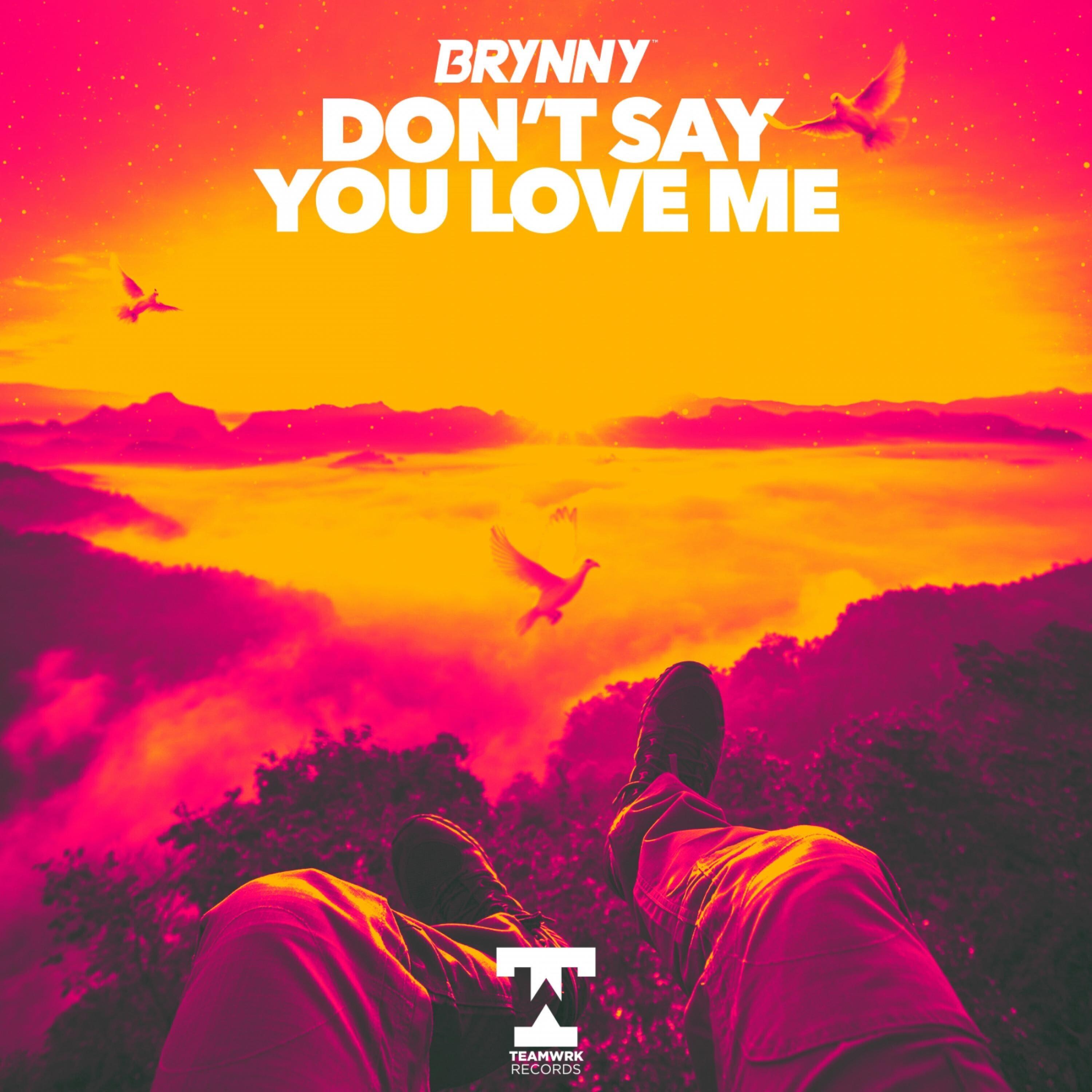 Don't Say You Love Me_Brynny_Don't Say You Love Me | 在线播放_Don't Say You Love Me歌词_Don't Say You Love Me下载 | 网易云音乐