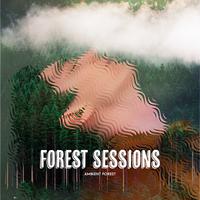 Forest Sessions