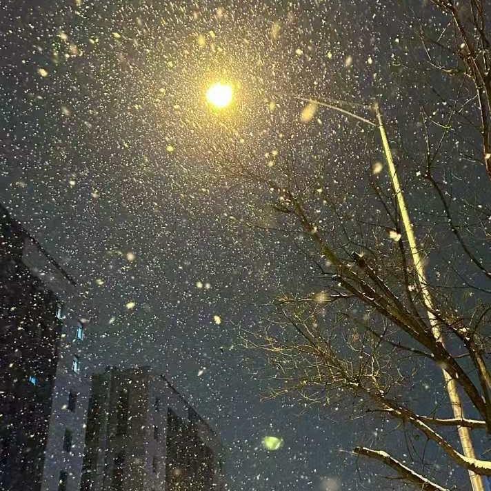 句号封面