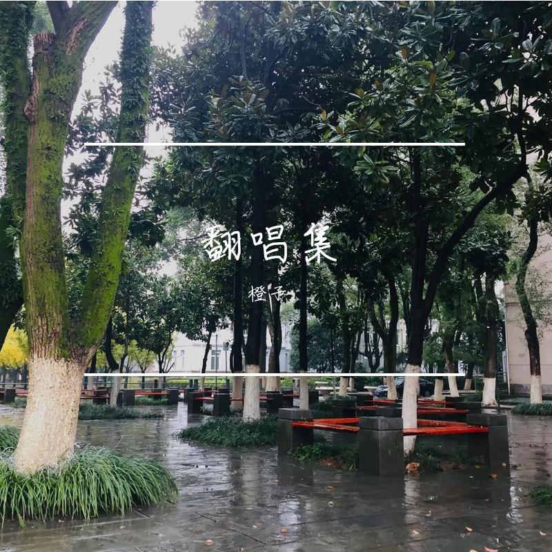 记得我爱你(Cover李易峰)_橙子封面
