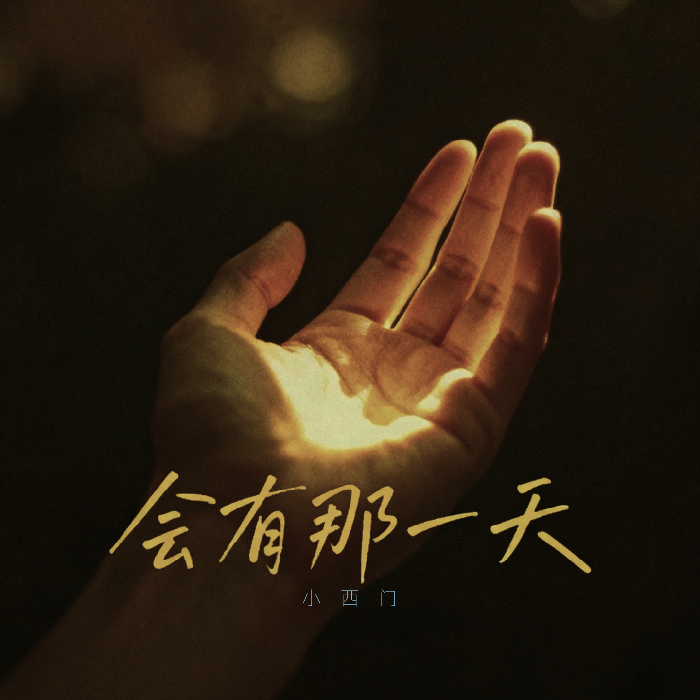 会有那一天封面