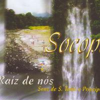 Raíz de Nós
