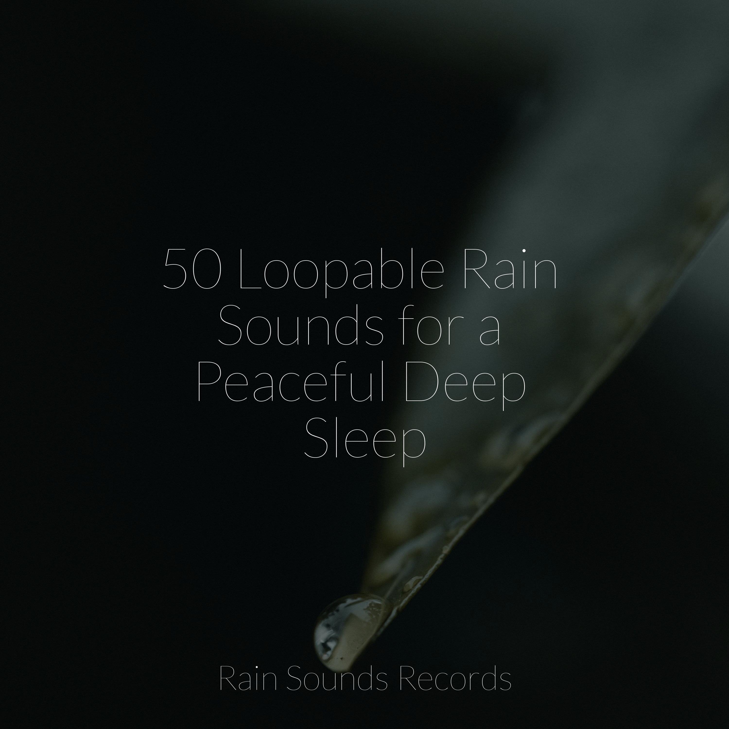 50 Loopable Rain Sounds For A Peaceful Deep Sleep Sons Da Natureza Hd