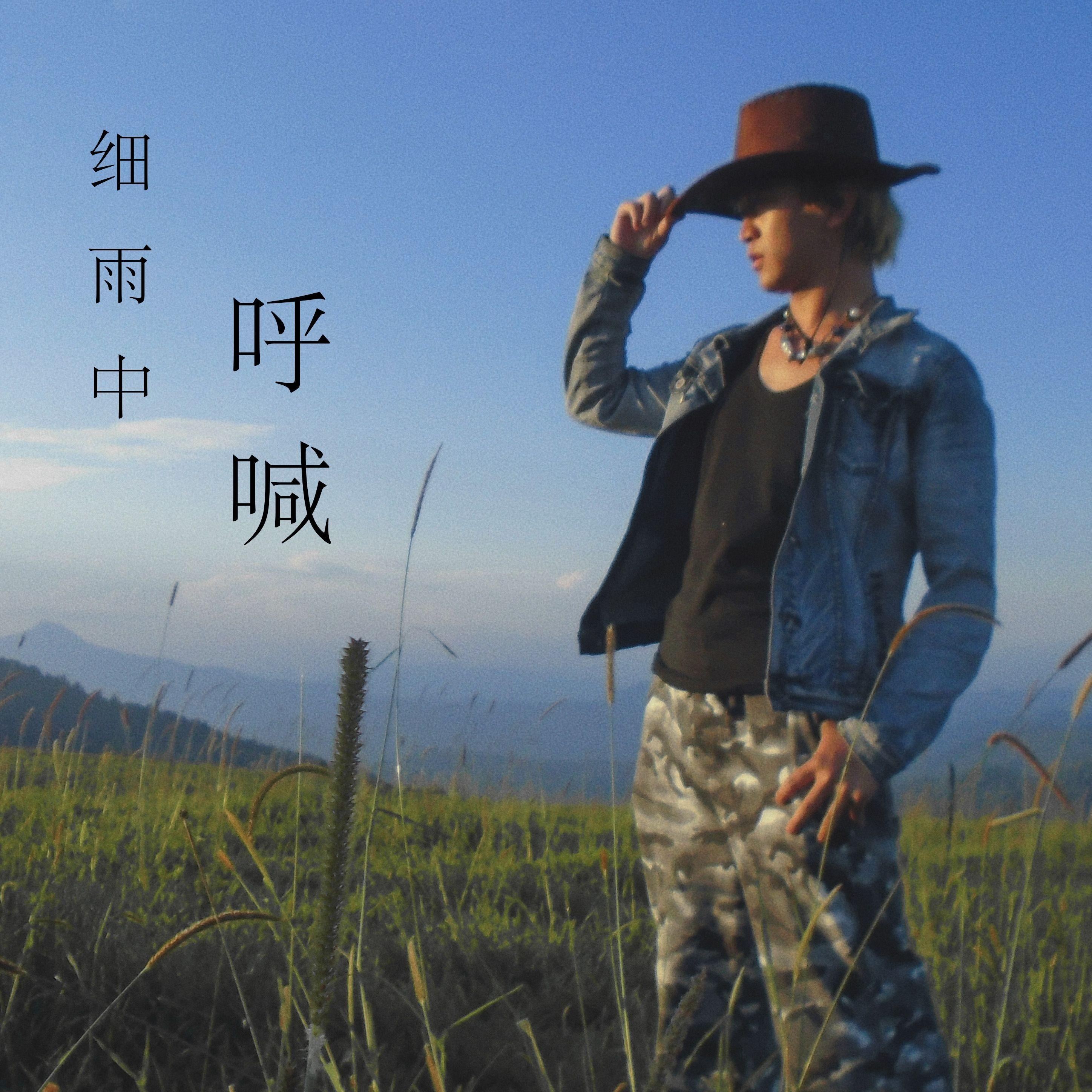 细雨中呼喊
