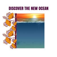 Discover The New Ocean