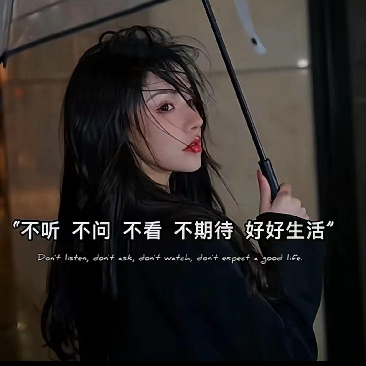 追逐梦想的光封面