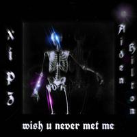 wish u never met me (feat. Aiden Hilton)