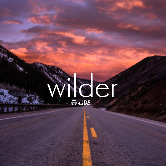 wilder_暴君de_wilder | 在线播放_wilder歌词_wilder下载 | 网易云音乐