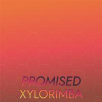 Promised Xylorimba