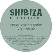 Various Artists Series 02