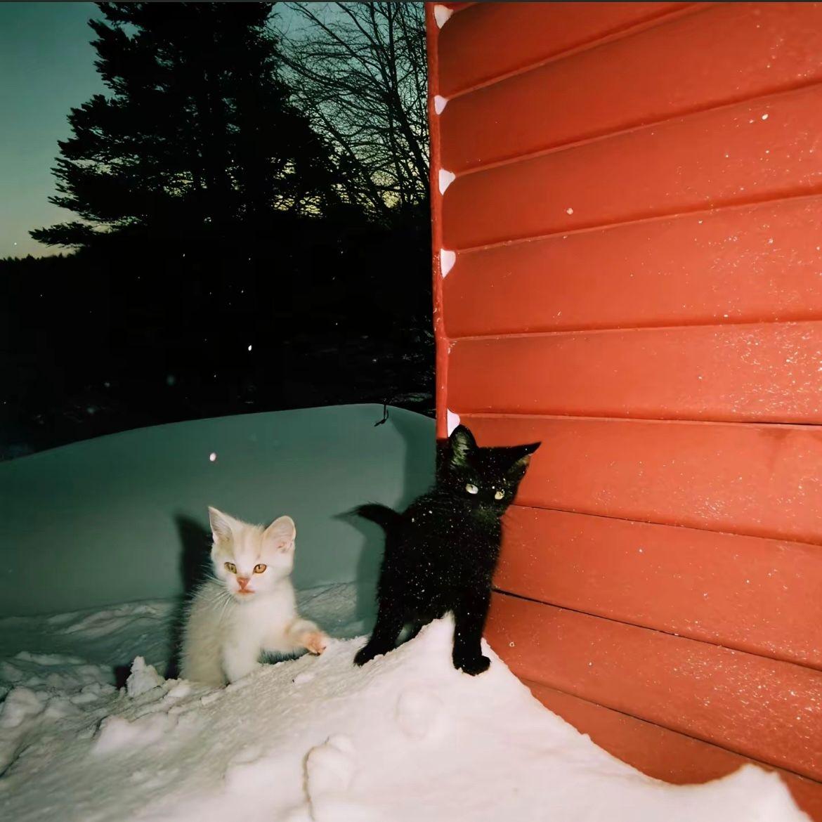 原谅我使出炎拳