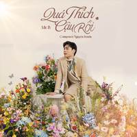 Quá Thích Cậu Rồi (Remix Version)