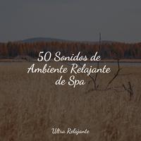 50 Sonidos de Ambiente Relajante de Spa