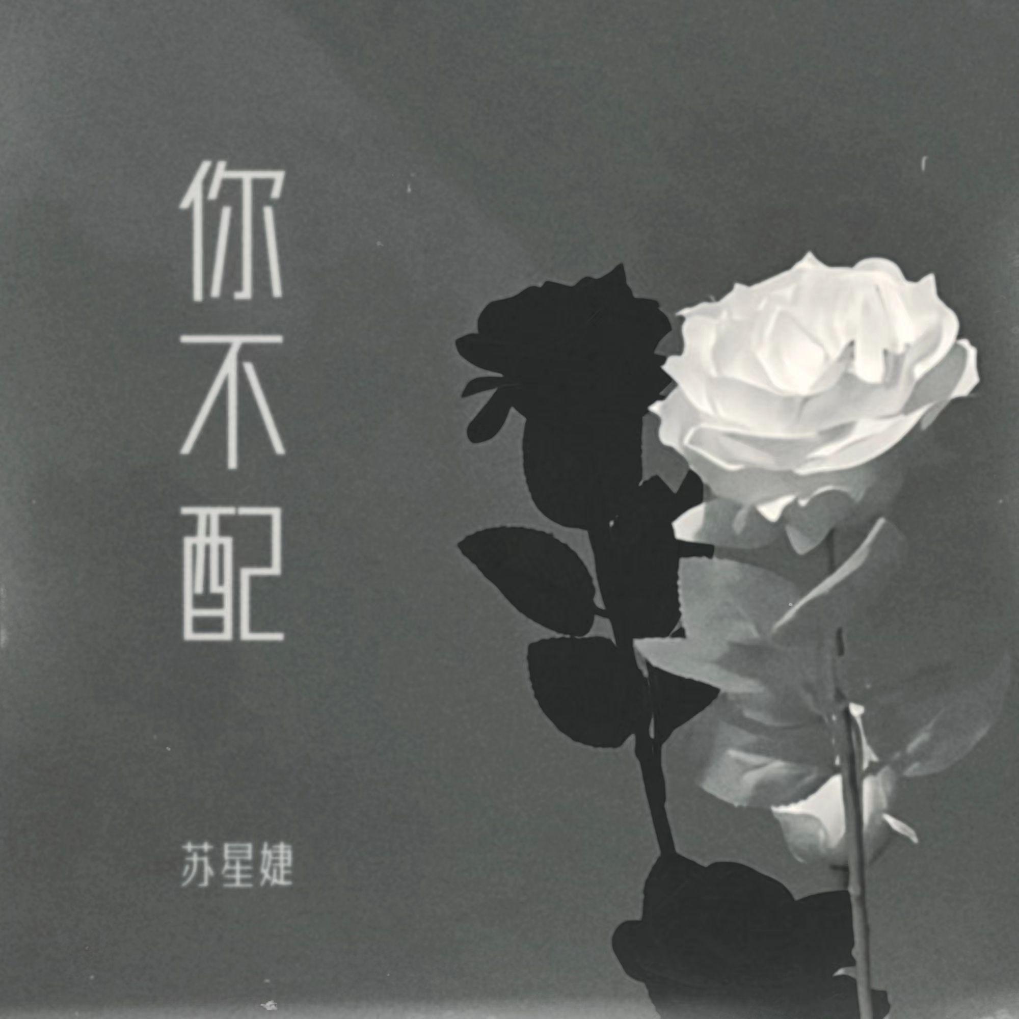 你不配 - 苏星婕封面
