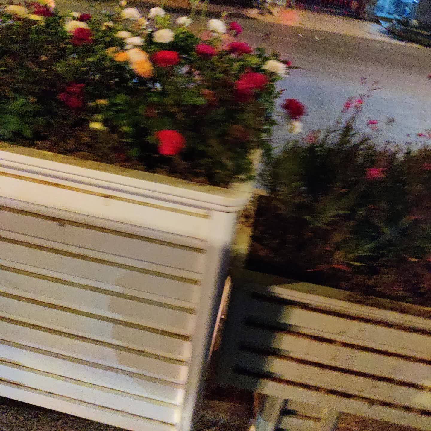 心声共鸣封面
