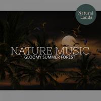 Nature Music - Gloomy Summer Forest