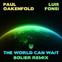 The World Can Wait (Bolier Remix)