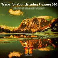 Tracks For Your Listening Pleasure 020