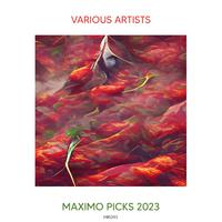 Maximo Picks 2023