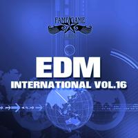 EDM International, Vol. 16