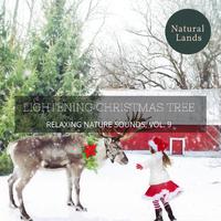 Lightening Christmas Tree - Relaxing Nature Sounds, Vol. 9