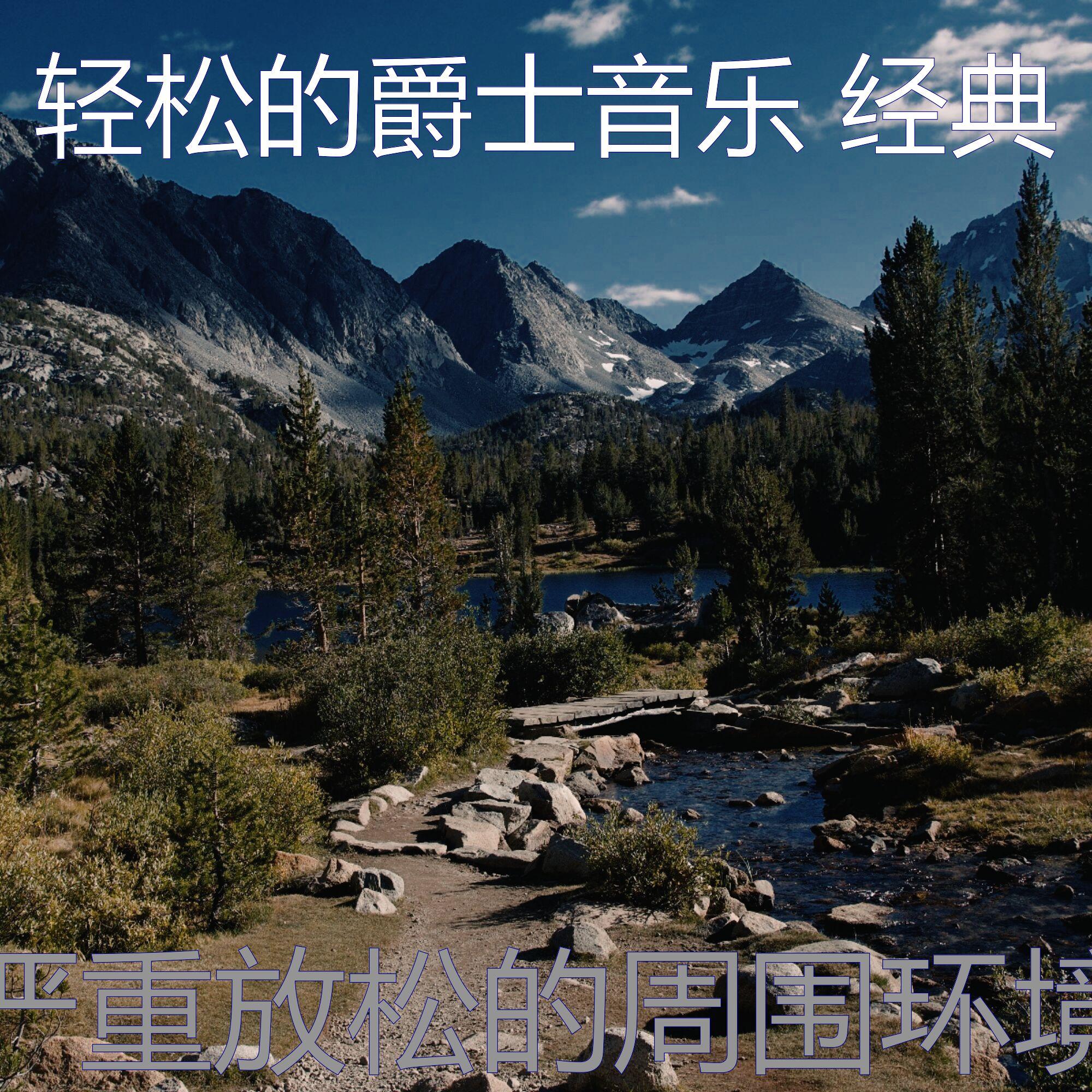 诗意的睡眠节奏封面