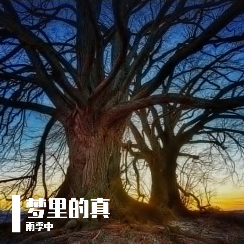 梦里的思念封面