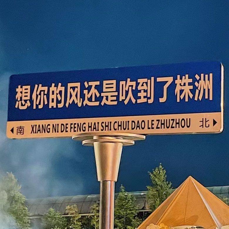 那些花儿(清唱)封面