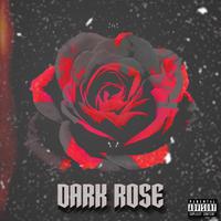 Dark Rose