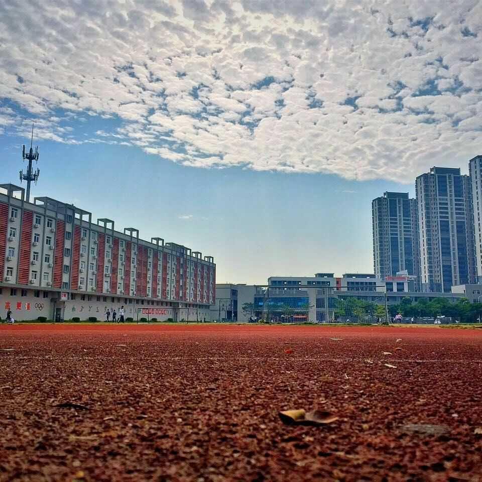 陀飞轮封面