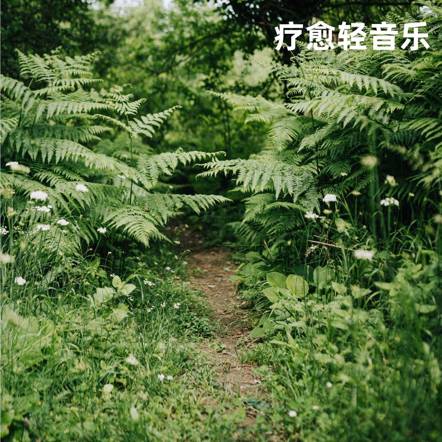 轻风丨放松吉他纯音乐 - 疗愈轻音乐封面