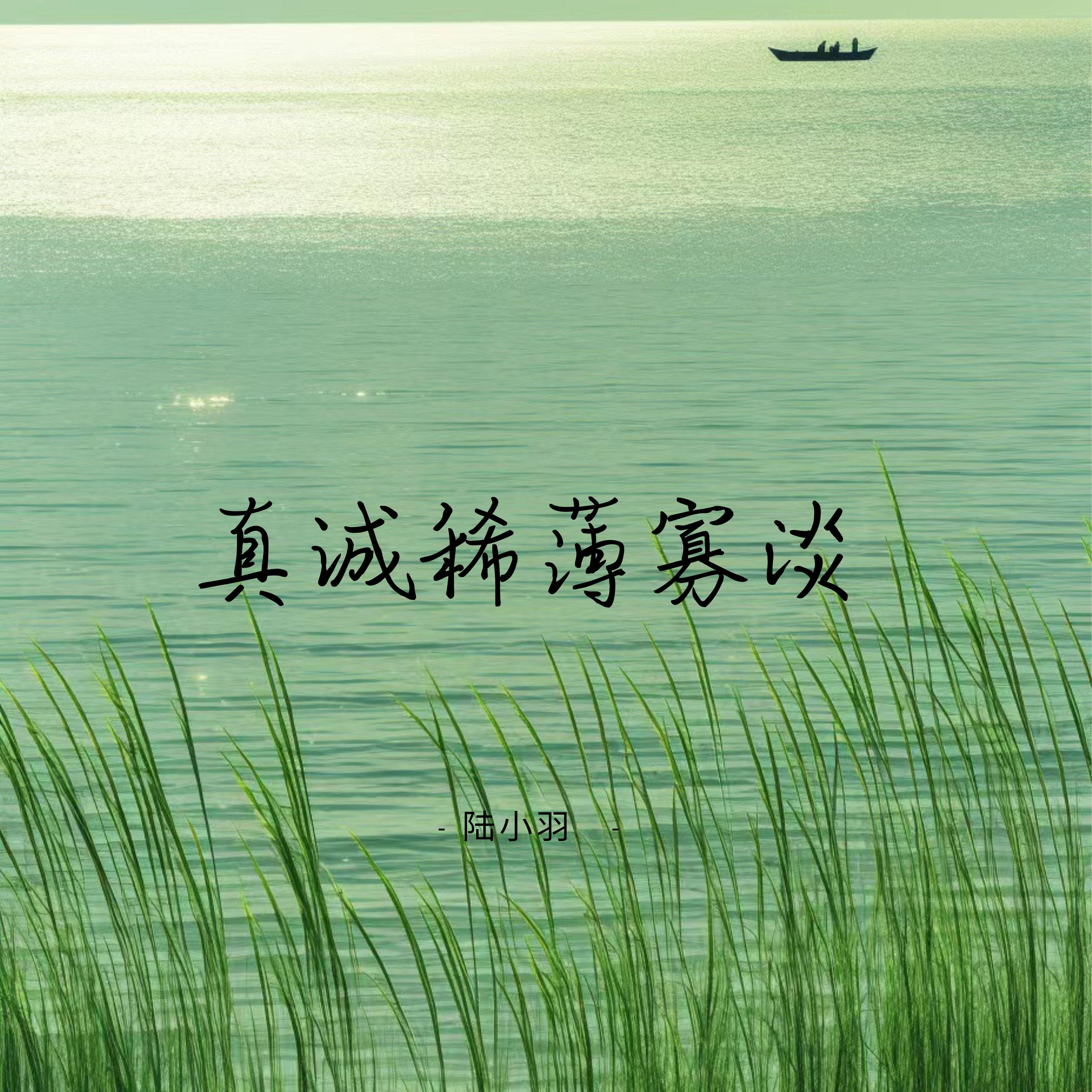 真诚稀薄寡淡封面
