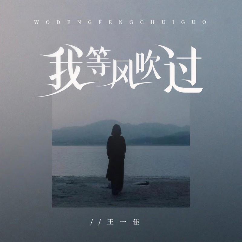 我等风吹过封面
