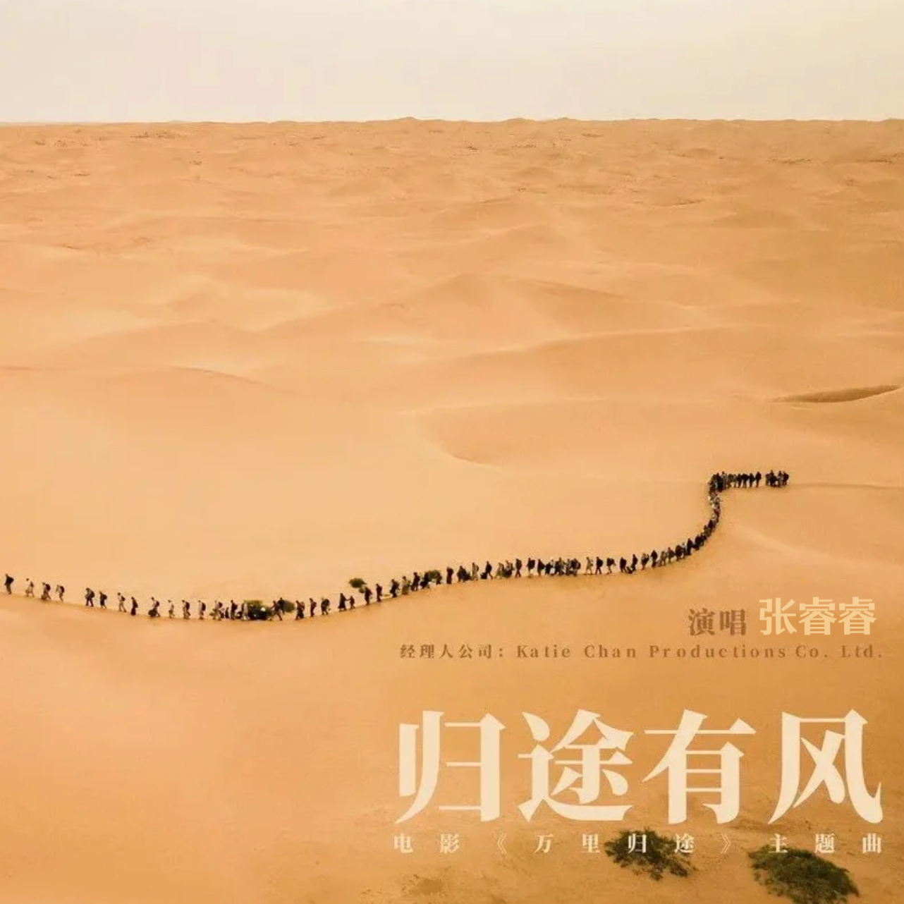 归途有风封面