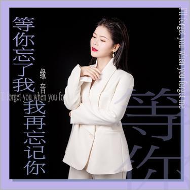 等你忘了我我再忘记你封面