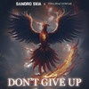 Sandro Silva - Don't Give Up