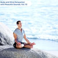 Body And Mind Relaxation With Peaceful Sounds, Vol. 10