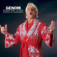 Ric Flair