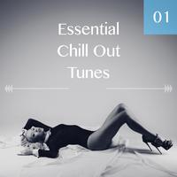 Essential Chill Out Tunes, Vol. 01