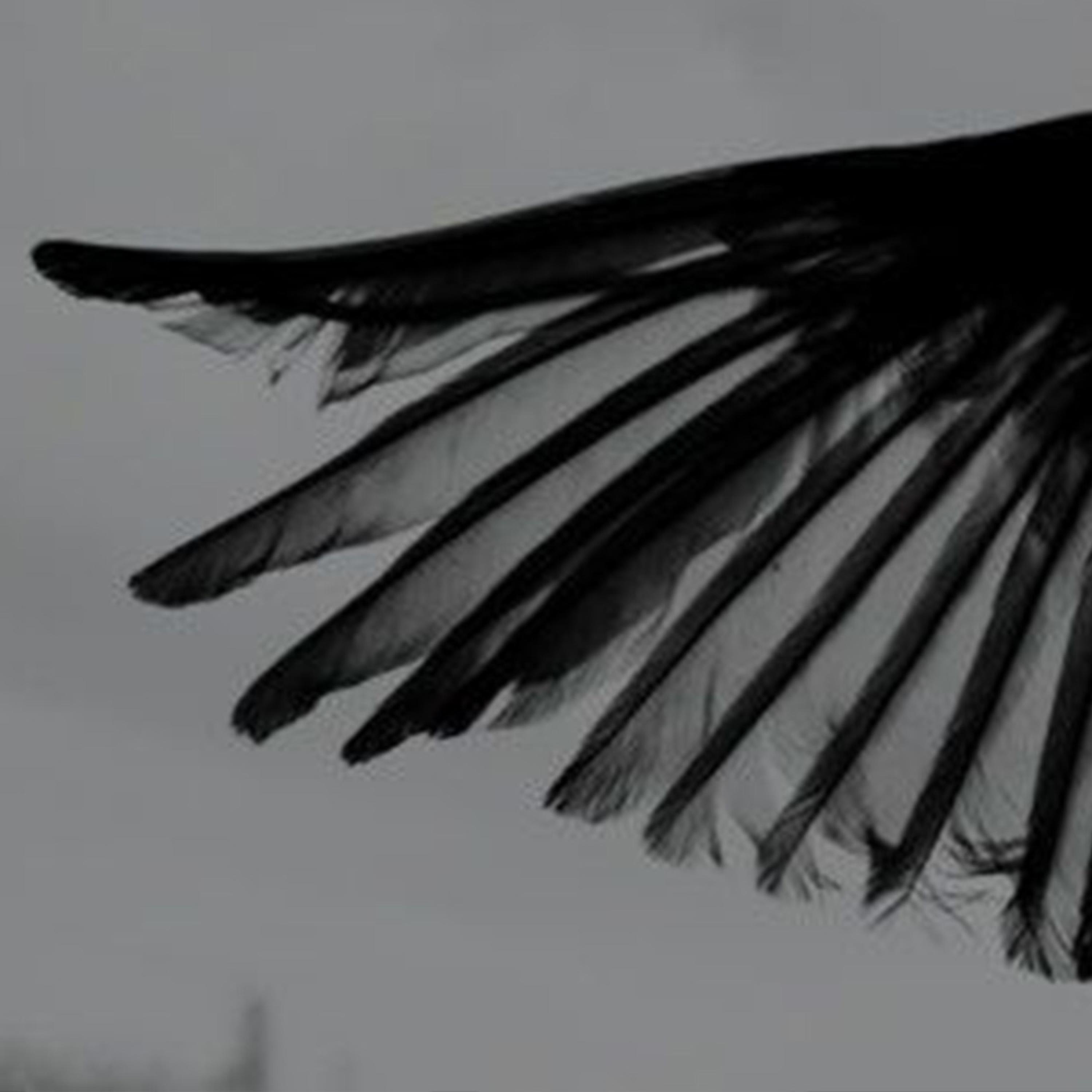 i cant feel myself... (feat. Triponxan & fa$hion killa)