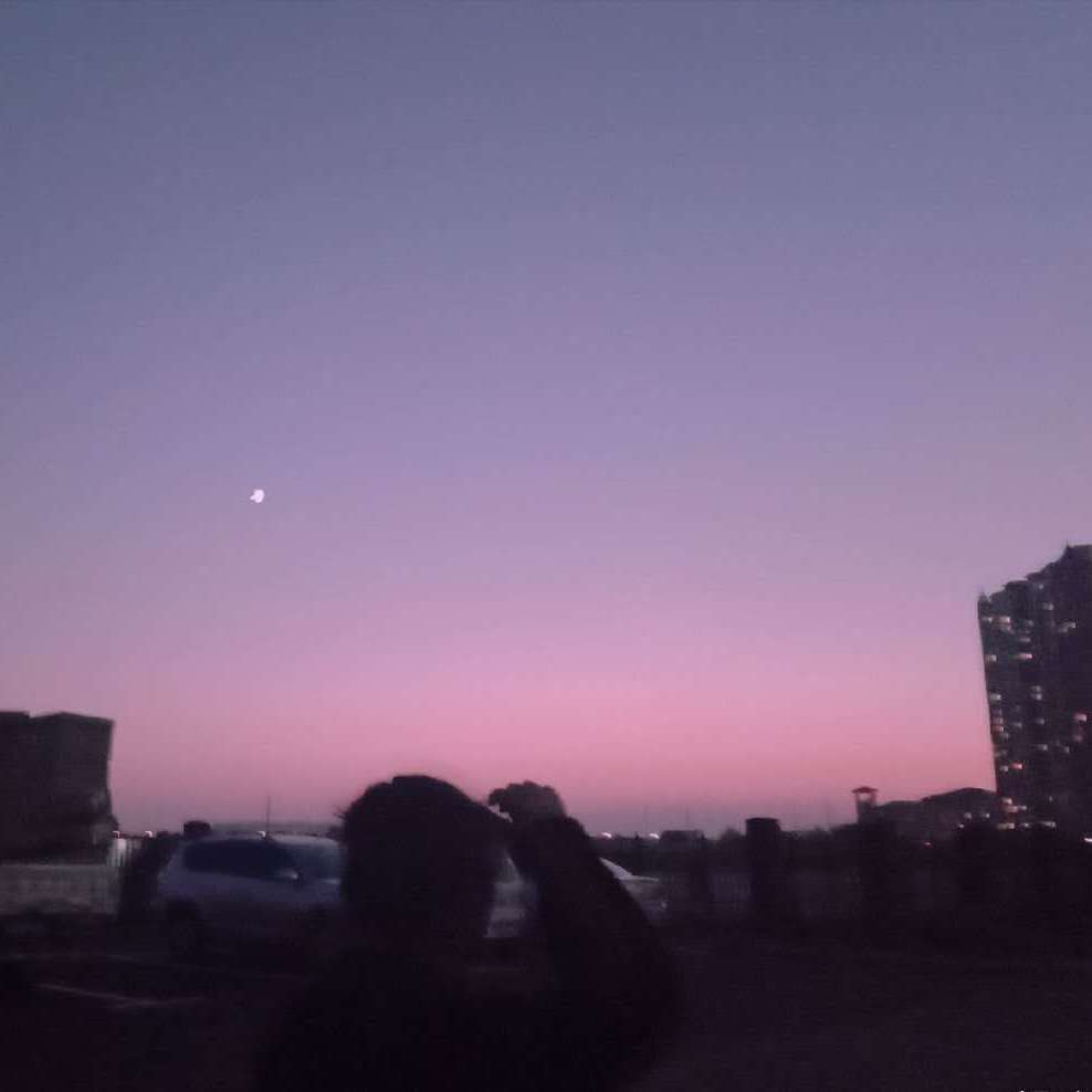 声声慢（翻自 蓝心羽）