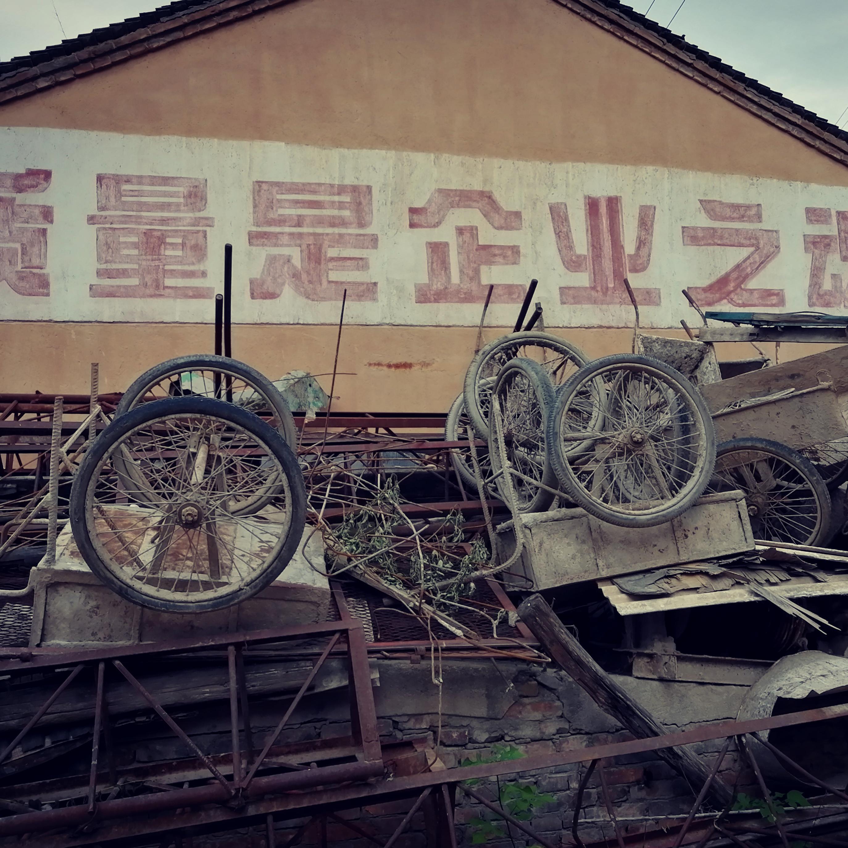 橡树 - 張著封面