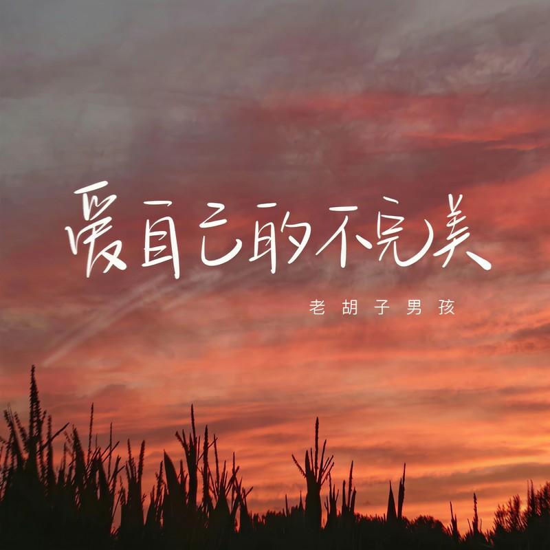 爱自己的不完美封面