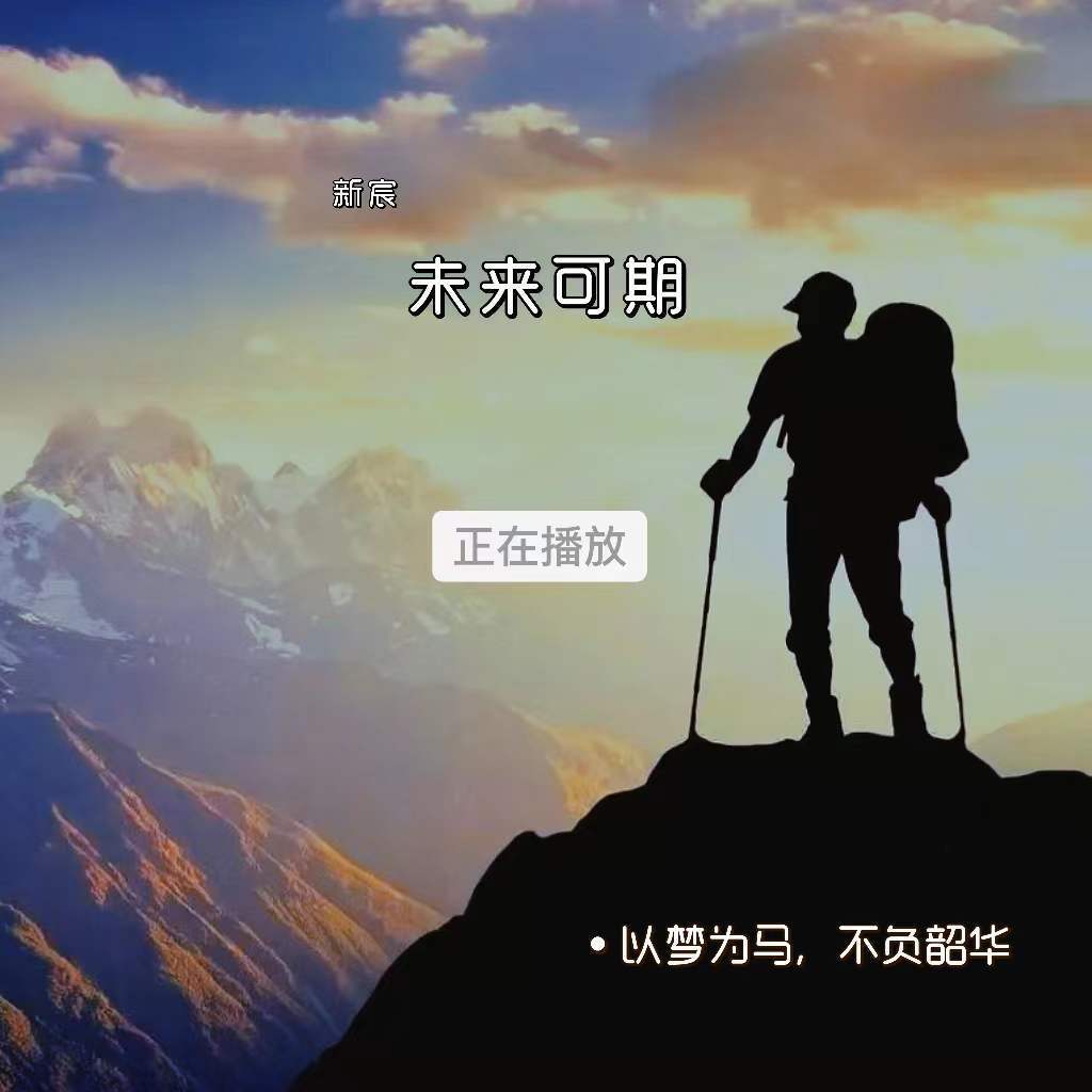 未来可期封面