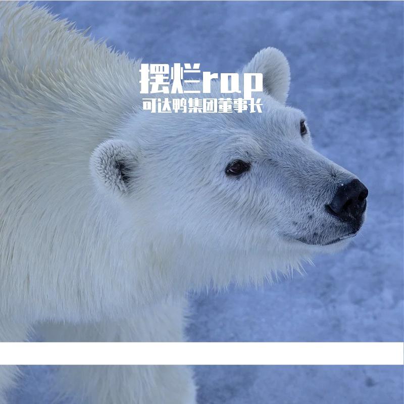 从小到大 - 可达鸭集团董事长封面